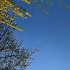 suki_0506