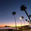 _anes_456