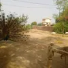 gulzaralizardari110