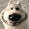 domluvr