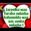 faruuro_afkalax