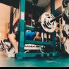thatweirdreptilegirl