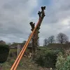 jamessampson0