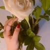 myrsy_6767
