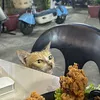 mshvth