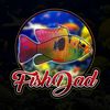 fishdad7411