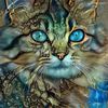 mamajudde