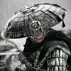 thecombatvet