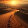yaser____almaremy21