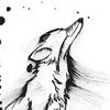 themidnitefox