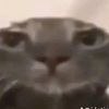 ponderfume