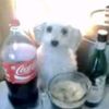 leonel_pepsi.14