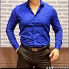 amir_echark
