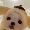 itsme_dianne244