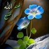user85269427132573