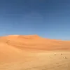travlght