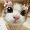 yzxandreyaa
