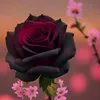 zita_95_26