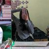chintyaaaaptriiii_