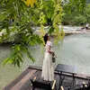 chichi290120