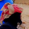 abdalhakeem09