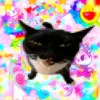 hilaraious._8