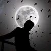 faizanqureshi7816