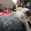 thelast_skittle67