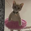 nataliablima_