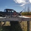 shawnstravelingcarnage