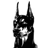 Doberman 👁