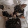 mishymichu1010