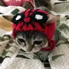 legendary_spidercat