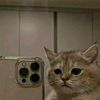 bob_slwly