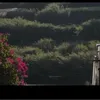 huyhoang.com.116