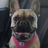 viviee01