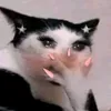 omeunomeeesse