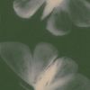 patreng_9346
