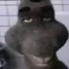 httpsrs2