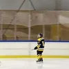 hockeykungen11