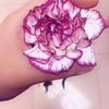 wdad_96