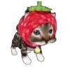 frogslollol