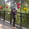 linhlinh.2403