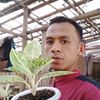 aangrohmat55