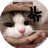coaiodaykhong005