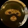 jules_ct7012