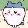 ilovewangxian