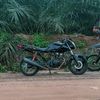 jayen_gank