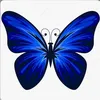 analiceolimpio2