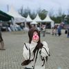 strange_woman_